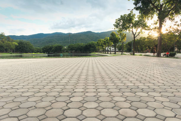 Best Driveway Pavers Near Me  in Chama, NM