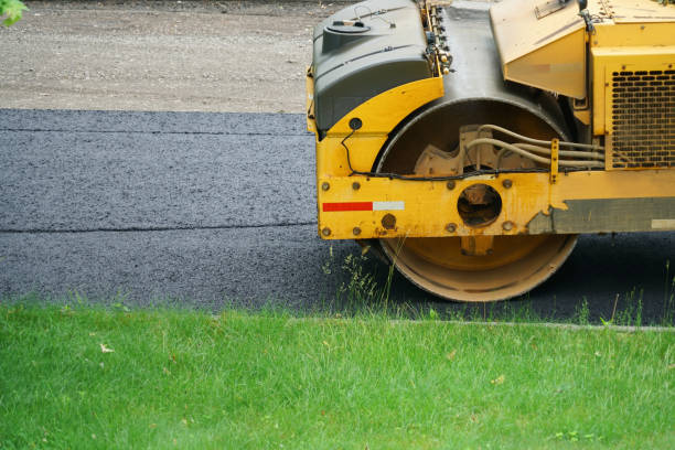 Best Concrete Paver Driveway  in Chama, NM