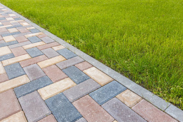 Best Residential Paver Driveway  in Chama, NM